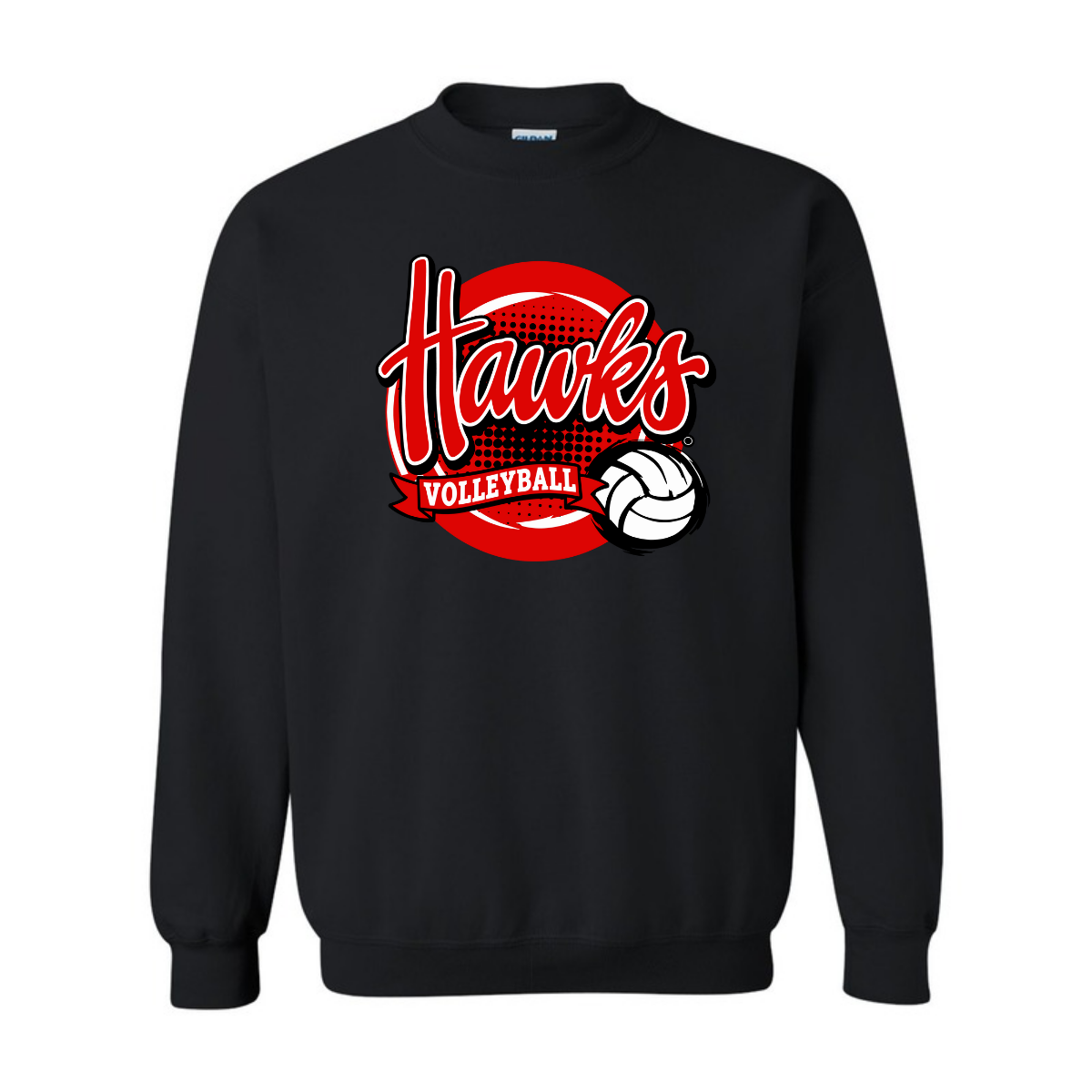 Adult Hawks Volleyball Circle