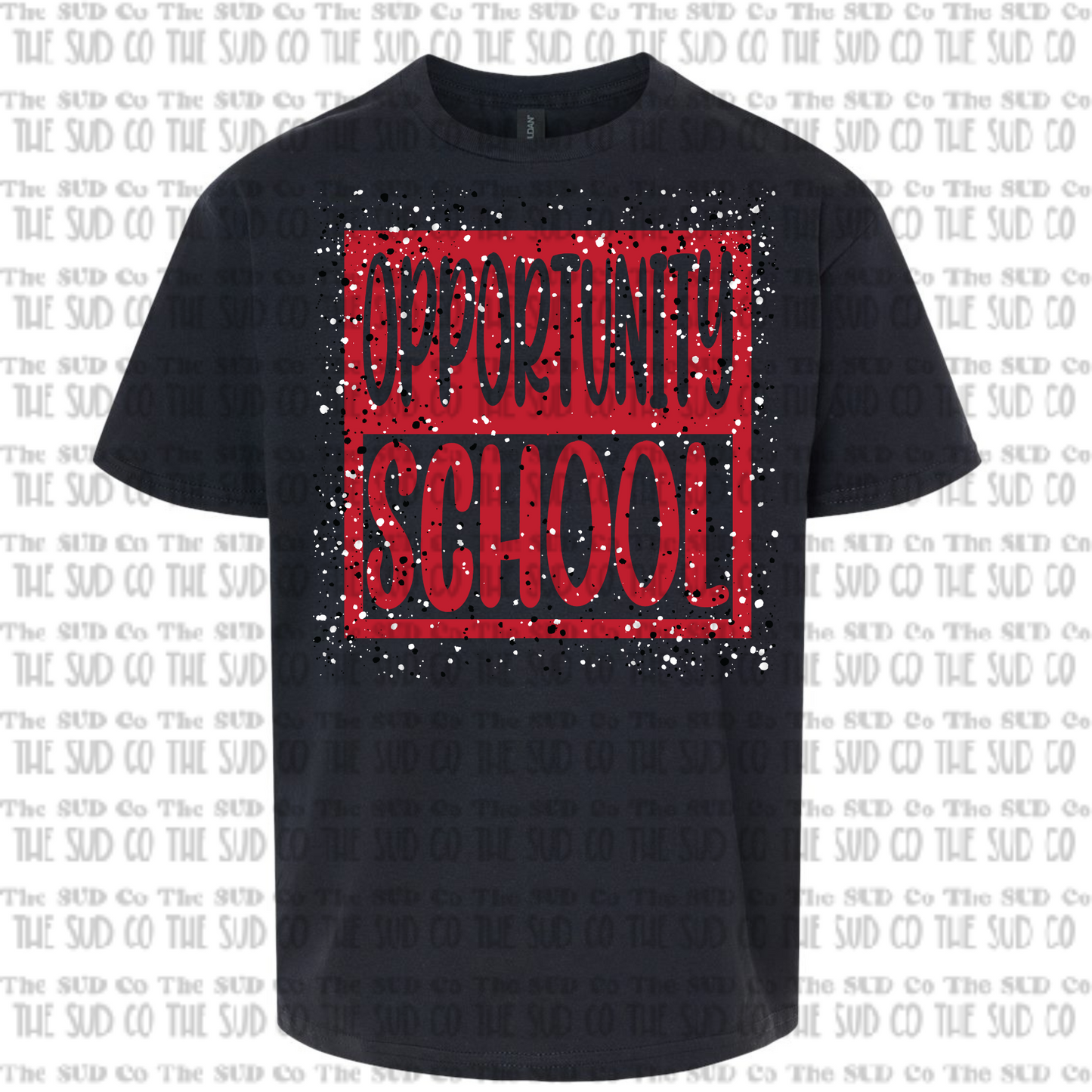 Opportunity School