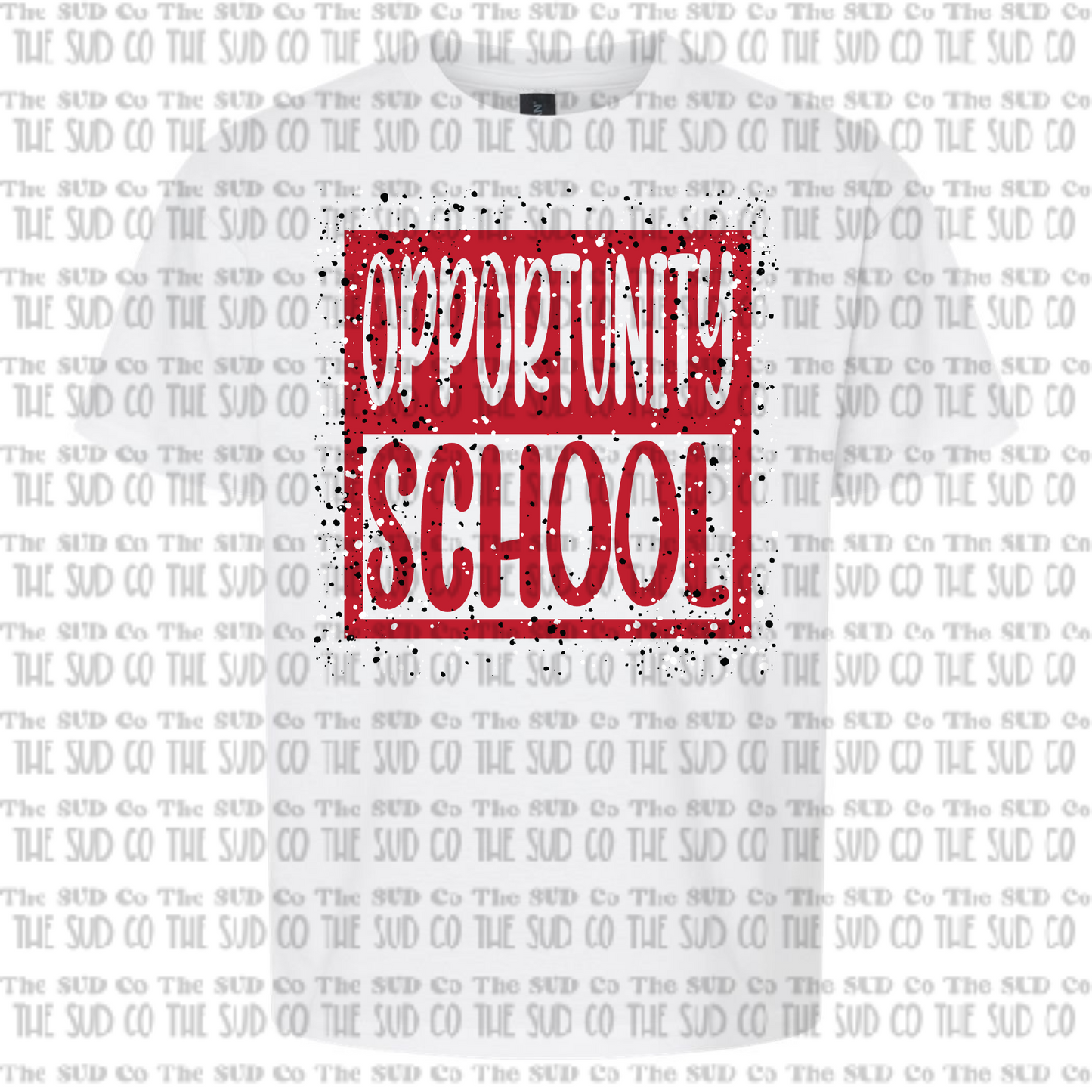 Opportunity School