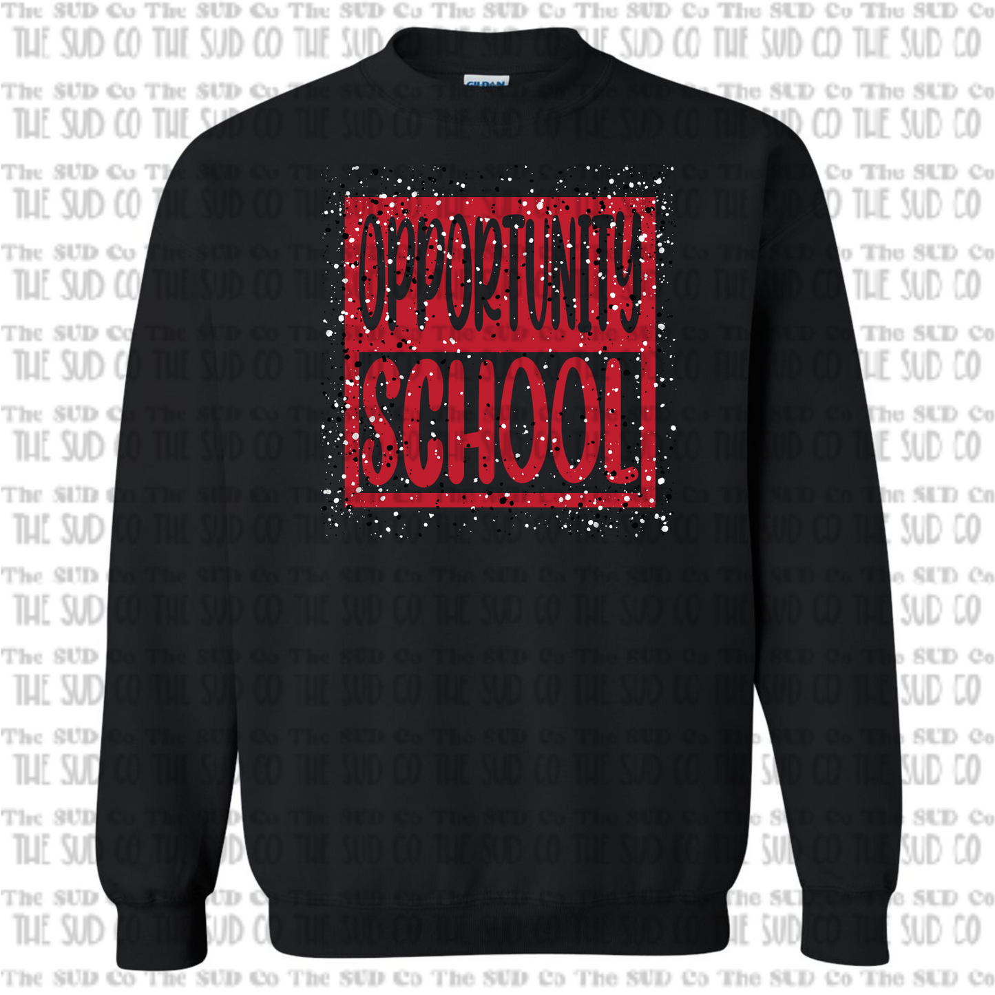 Opportunity School