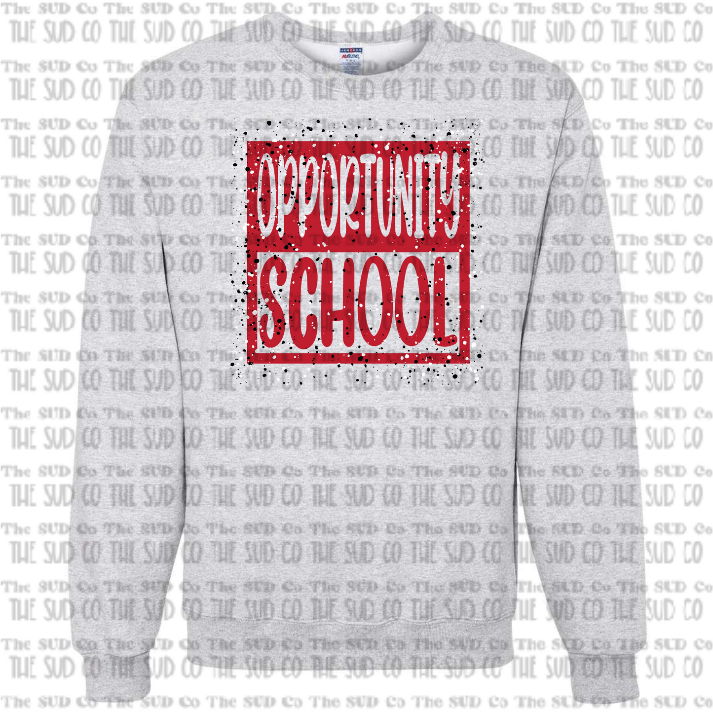 Opportunity School