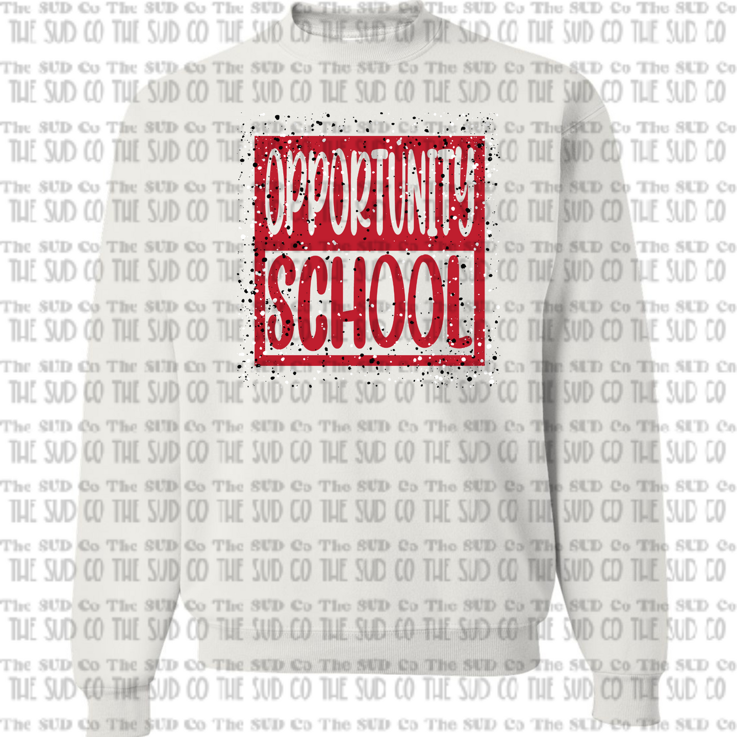 Opportunity School