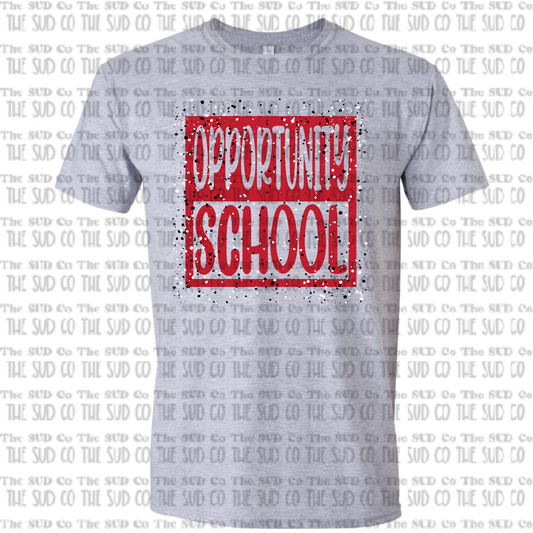 Opportunity School