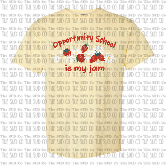 Opportunity School - My Jam